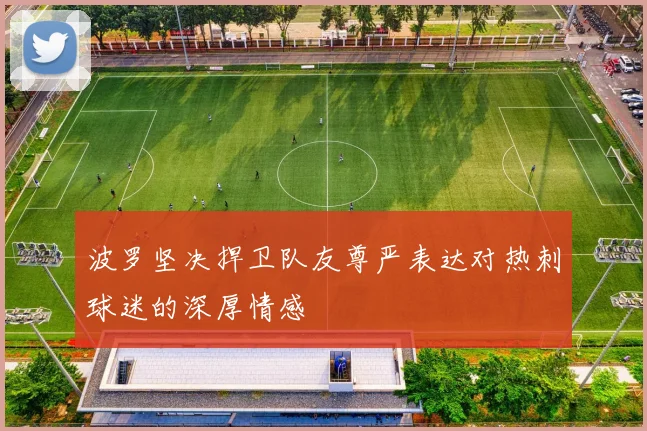 波罗坚决捍卫队友尊严表达对热刺球迷的深厚情感