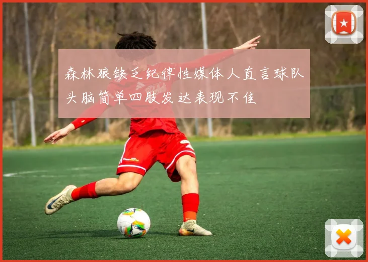 森林狼缺乏纪律性媒体人直言球队头脑简单四肢发达表现不佳