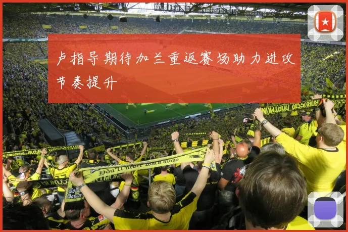 卢指导期待加兰重返赛场助力进攻节奏提升